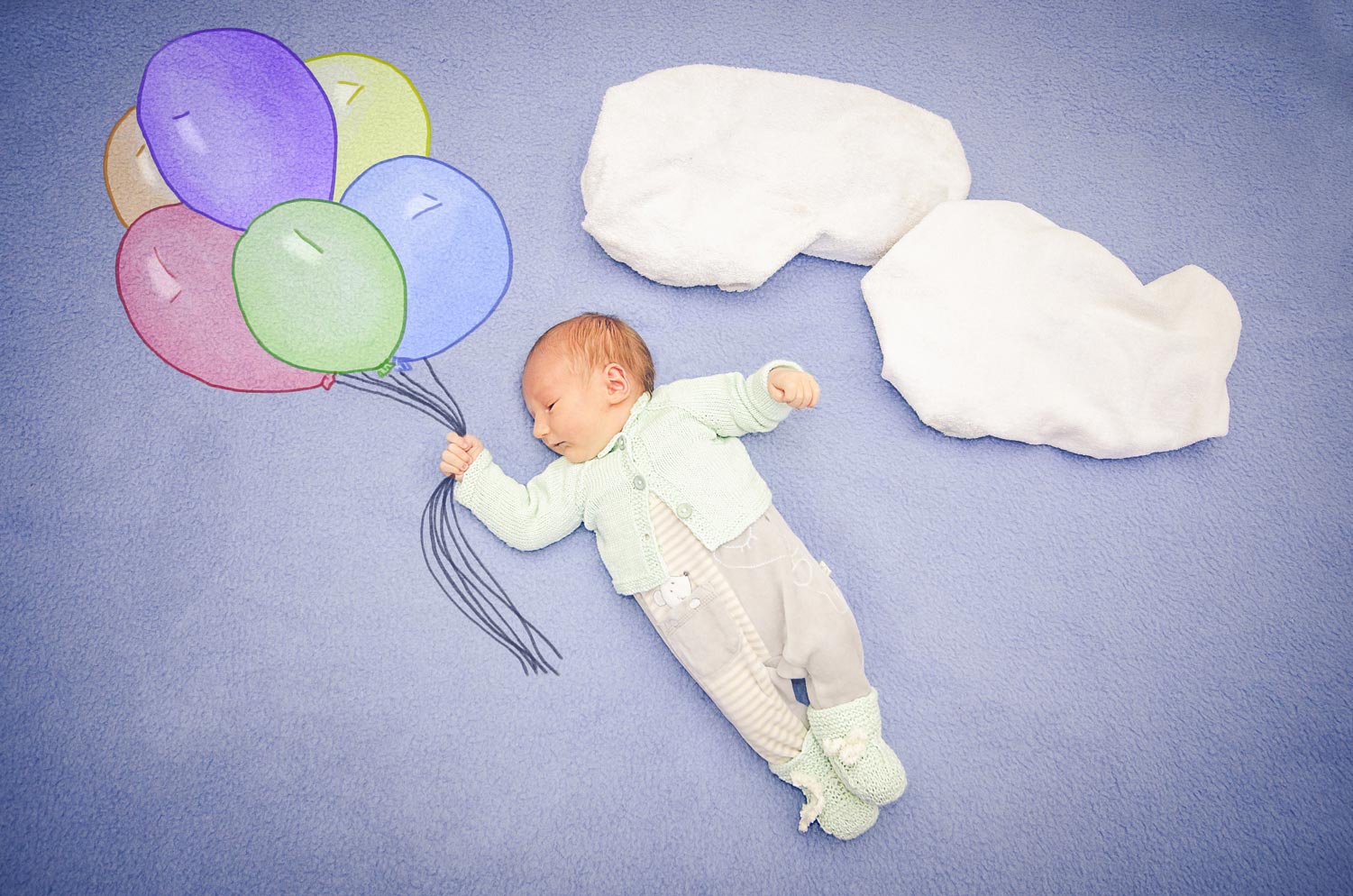 Baby Fotoshooting Graz Createve Fotos Designs Mit Pfeffer